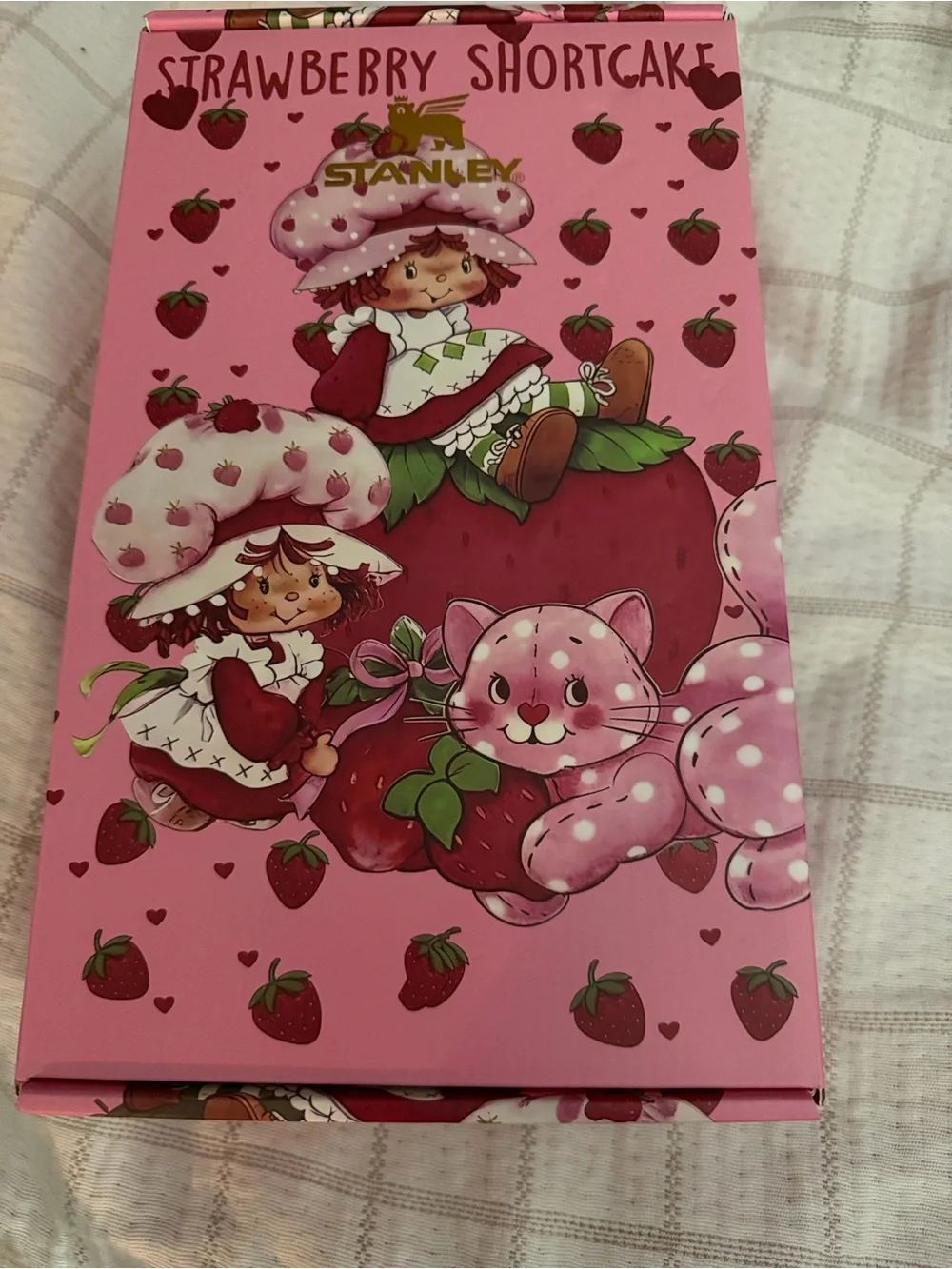 Stanley cute strawberry